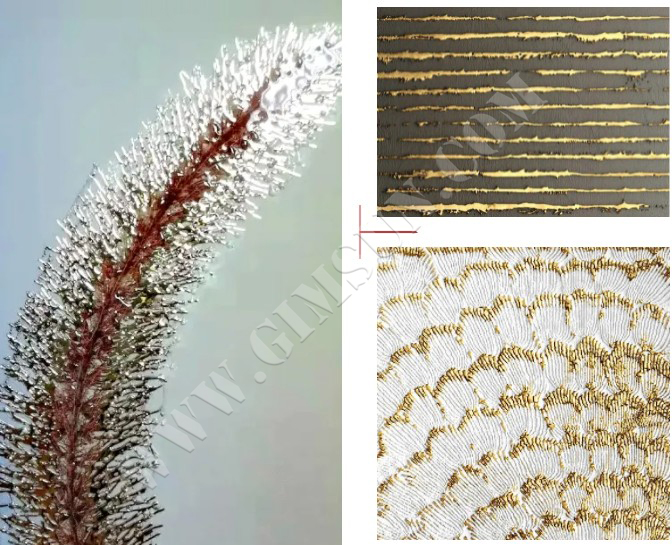 UV打印_U平板打印_亞克力打印_UV印刷_光柵板打印_堅成廣告制品有限公司